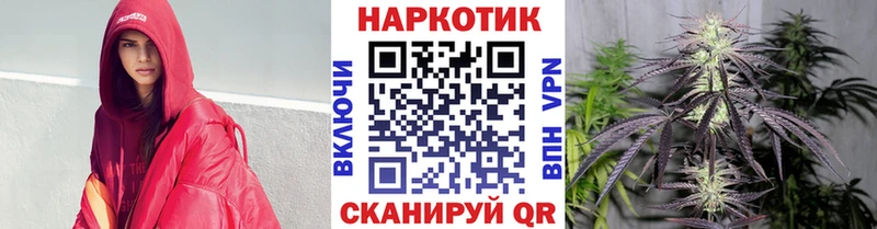 Сколько стоит Жуковка Псилоцибиновые грибы  КОКАИН  Амфетамин  Меф мяу мяу  ГАШ 