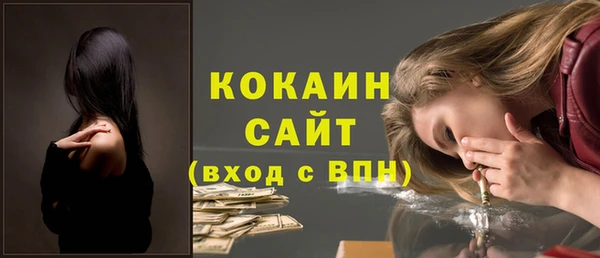 индика Майский