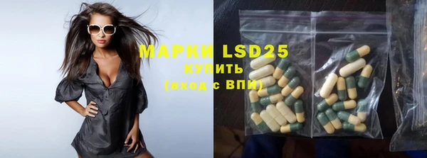 дживик Магас