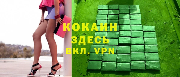 дживик Магас