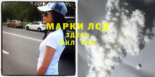 индика Майский