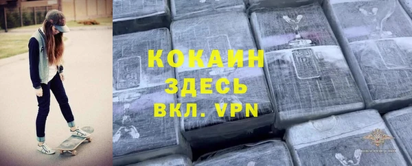 дживик Магас