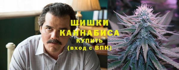 индика Майский