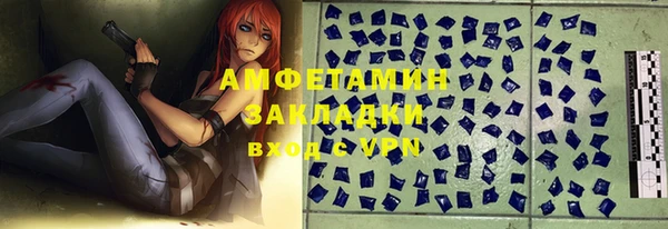 индика Майский