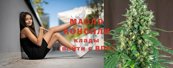 индика Майский