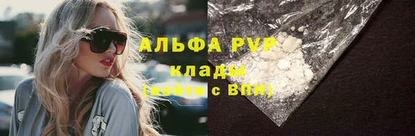 индика Майский