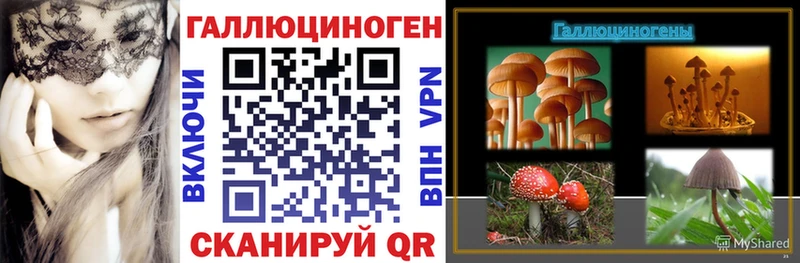 где найти наркотики  Жуковка  hydra онион  Псилоцибиновые грибы мицелий 