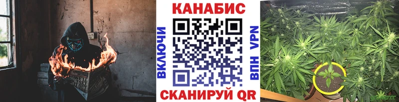 Конопля MAZAR  где продают наркотики  Жуковка 